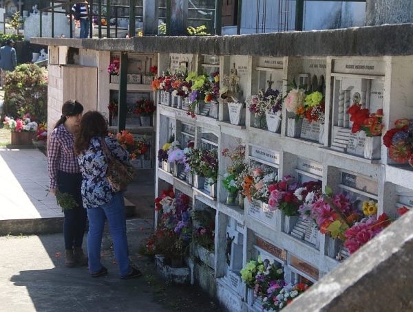 Sr. contribuyente de la tasa de mantenimiento de cementerio: