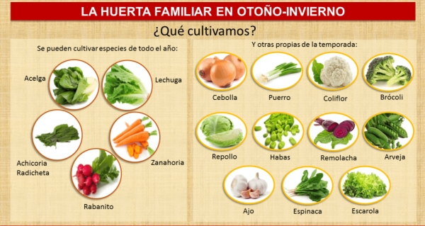 Taller Gratuito de Huerta en el Inta