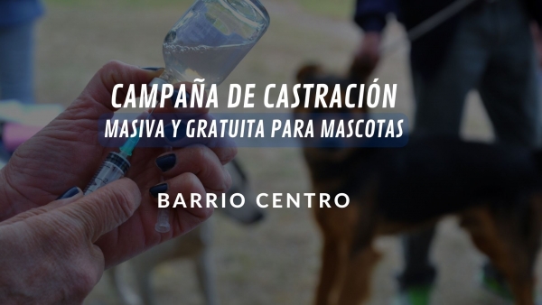 Jornada de castración masiva para mascotas en barrio centro